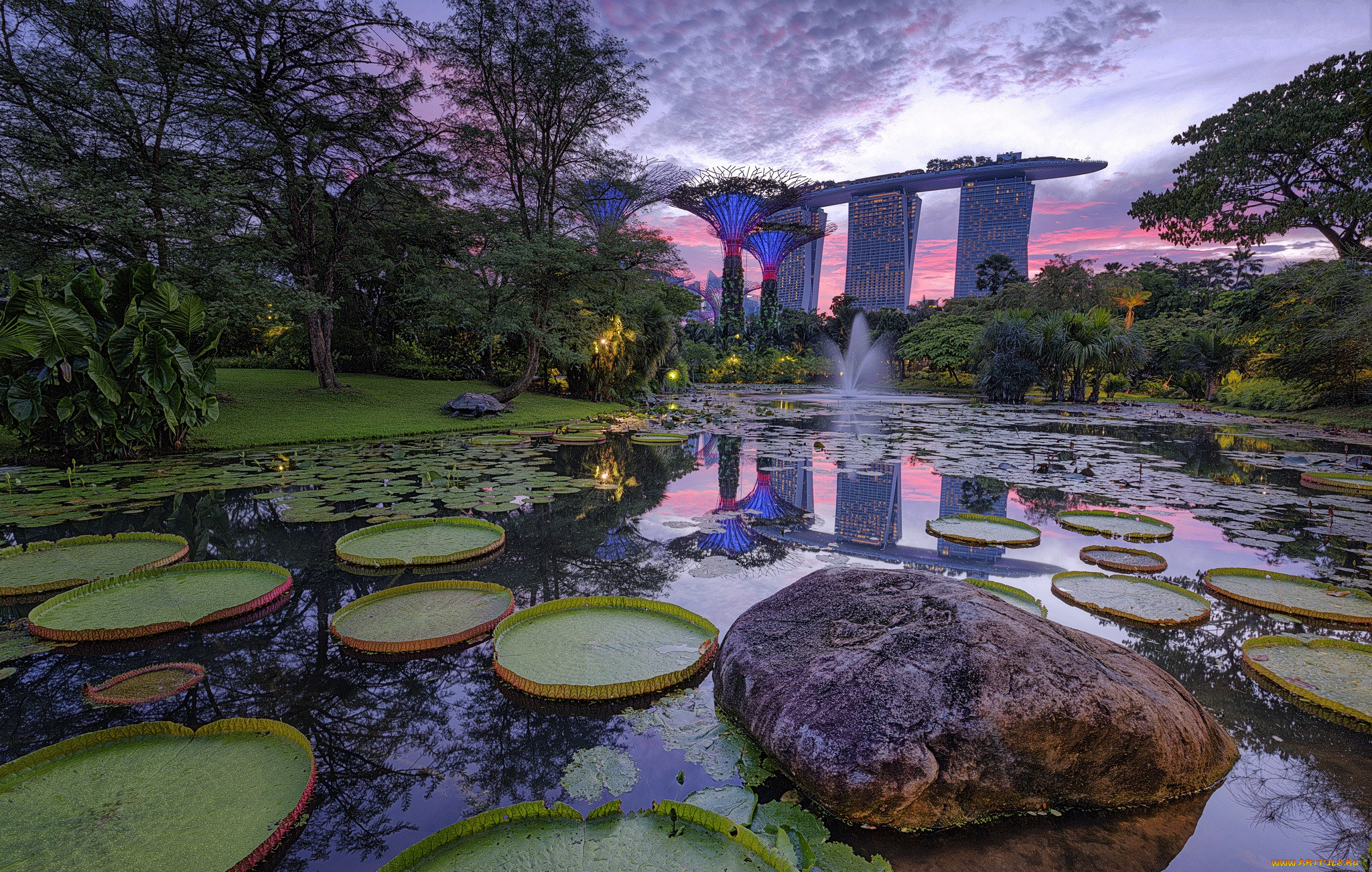 singapore, ,  , , 